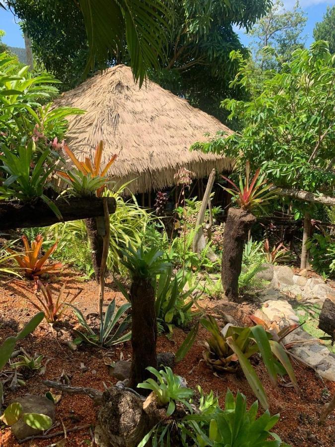 Orchid Resort Ltd Guillet Esterno foto